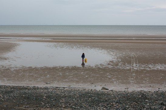 Beautiful and also fantastically windy